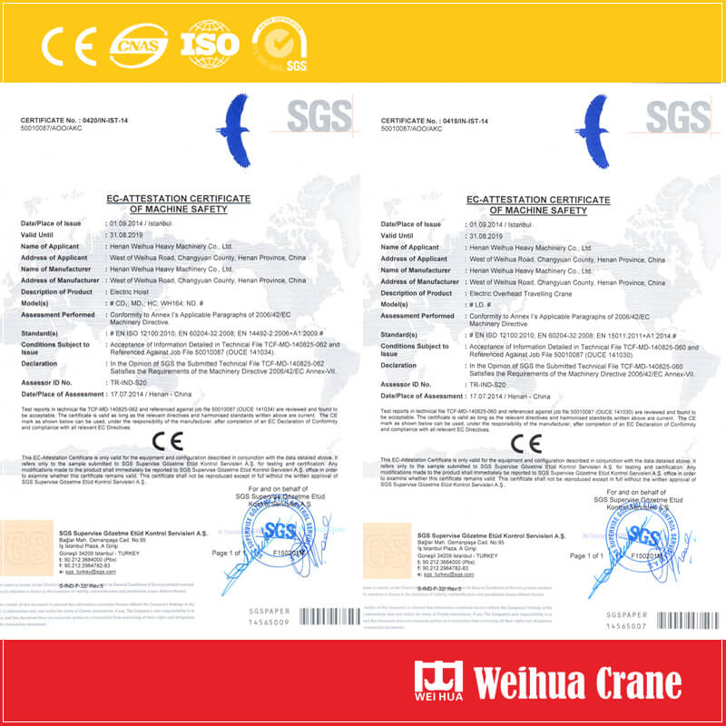 FEM/DIN Double Girder Overhead Crane