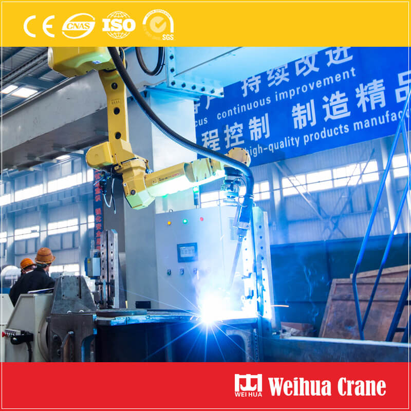 FEM/DIN Double Girder Overhead Crane