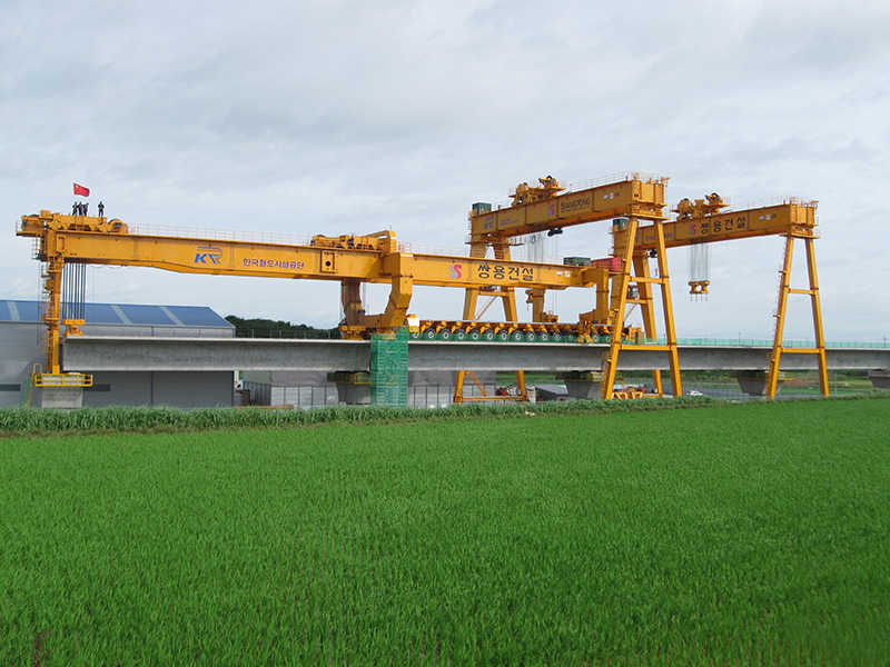 Wide-Span Rail-Mounted Gantry Crane for Dense Stacking Operations