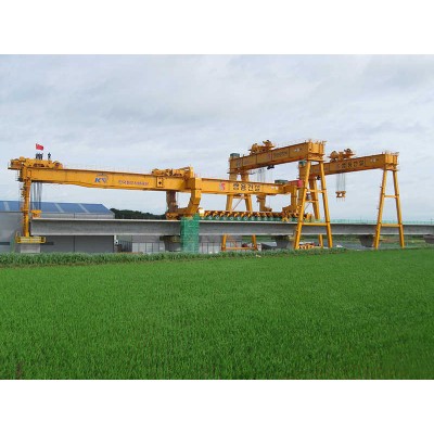 Wide-Span Rail-Mounted Gantry Crane for Dense Stacking Operations
