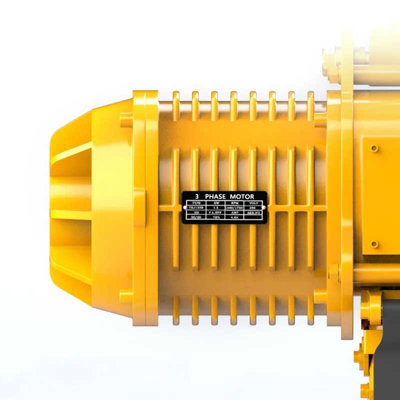 Stainless Steel Electric Hoist | Corrosion-Resistant for Food & Pharma