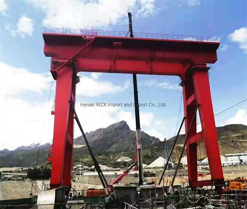32t Main Hook + 5t Aux Hook Gantry Crane | Power Plant Special Design