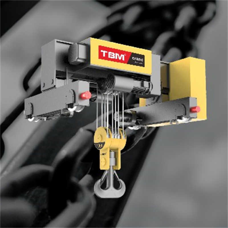 European SHA8 Double Girder Electric Hoist - Factory Direct Pricing