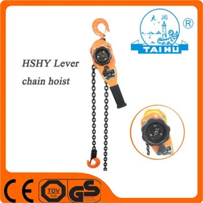 Variable Speed Electric Chain Hoist - Precision Control for Sensitive Loads