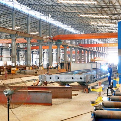 Heavy-Duty Double Girder Bridge Crane Custom Electric EOT Crane for Industrial