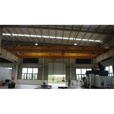 FEM Standard Electric Overhead Traveling Crane - Workshop & Factory Lifting