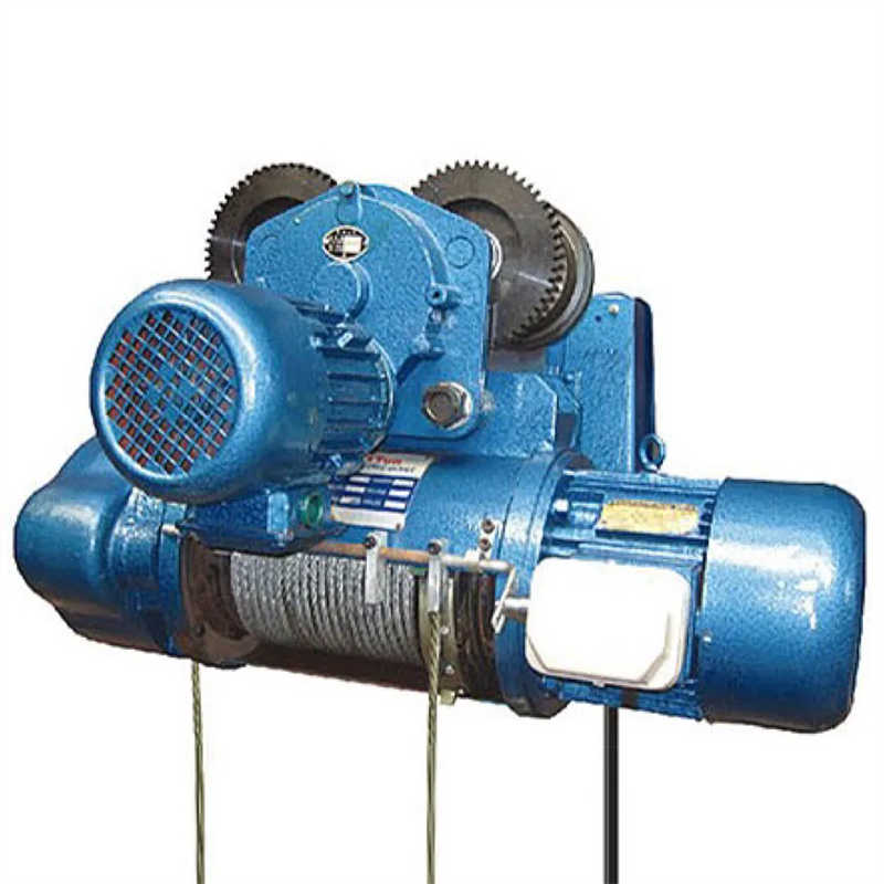 Electric Wire Rope Hoist with Intelligent Own Control Panel