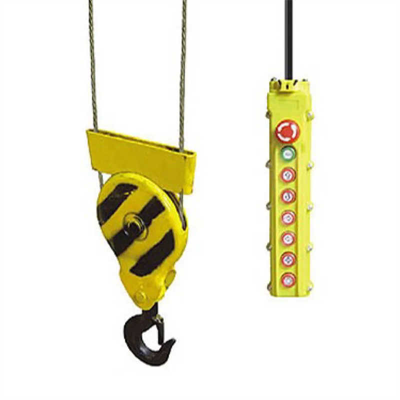 Electric Wire Rope Hoist with Intelligent Own Control Panel