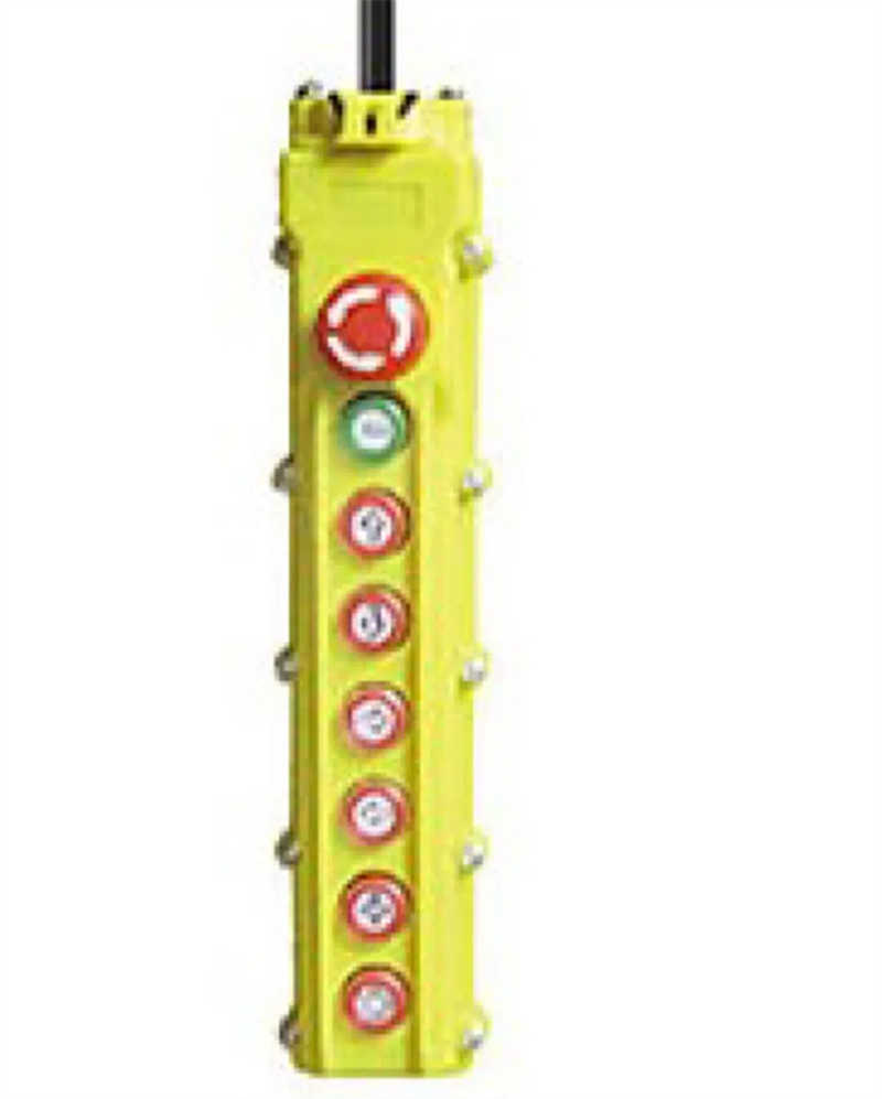 Electric Wire Rope Hoist with Intelligent Own Control Panel