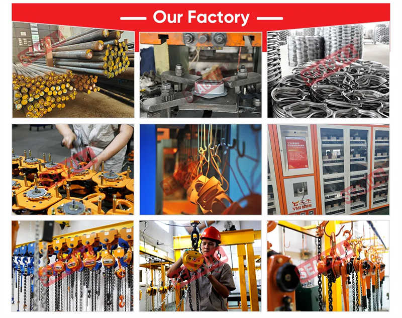 Electric Wire Rope Hoist with Intelligent Own Control Panel