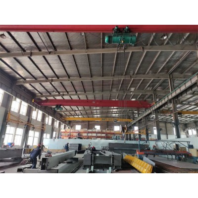 Versatile LDA Bridge Crane - Choose Your Load (1-15T) & Span (5-30m)