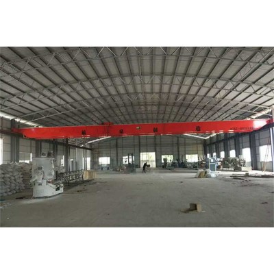 Double Girder EOT Crane with Remote Control | 5-320T | IP54 Protection