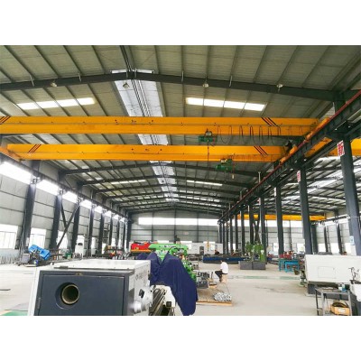Low Headroom Double Girder EOT Crane Ideal for Mechanical Processing Plants