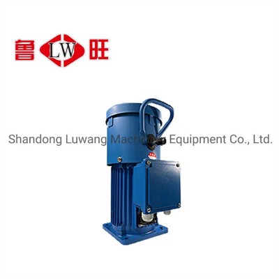 Ltd10 Construction Hoist for Suspended Working Platform Gondola