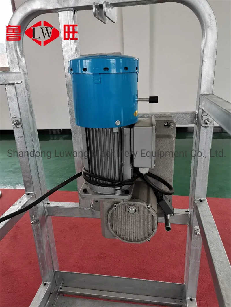 Ltd6.3/8.0/10.0 Hoist of Suspended Platform Gondola Awith CE Certification