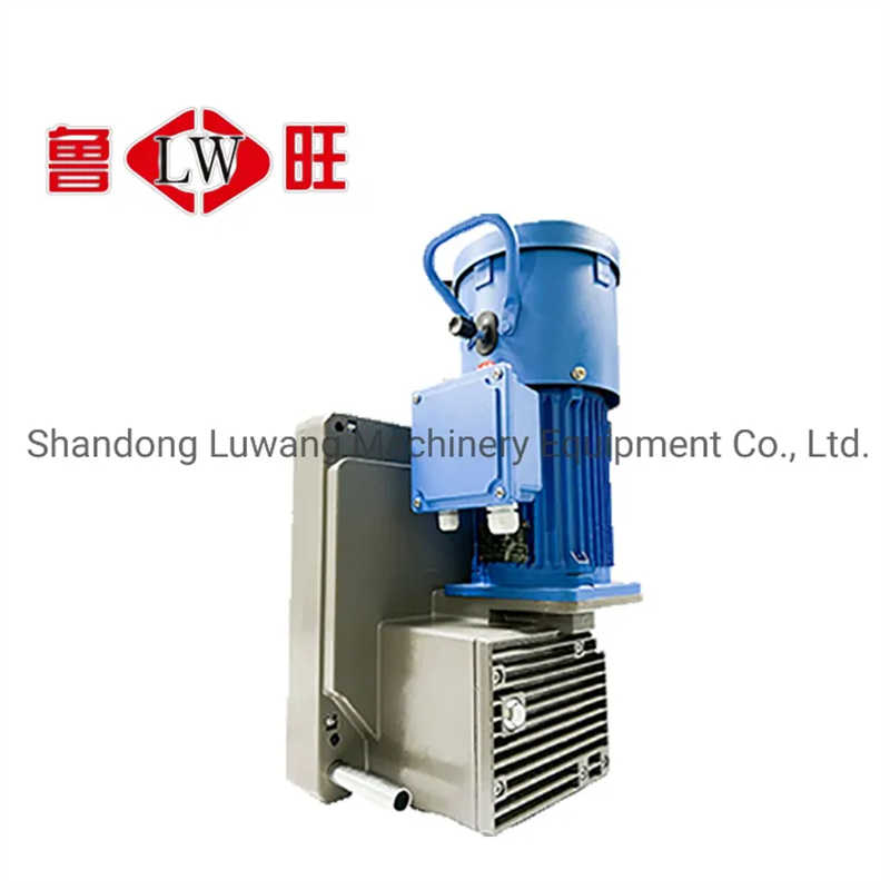 Ltd6.3/8.0/10.0 Hoist of Suspended Platform Gondola Awith CE Certification