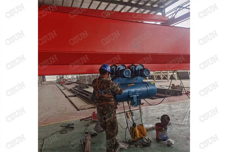 Heavy-Duty Wire Rope Electric Hoist CD1 Model, Ideal for Steel Mills & Logistics