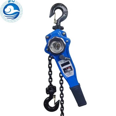 China Factory Supply Hand-Operated Lifting Appliance Chain Block Hoist