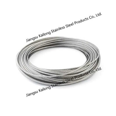 6 X 36 (SW) + Iwrc Stainless Steel Wire Rope with Steel Wire Rope 10.0mm