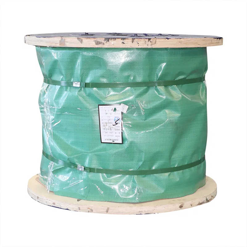 Bright or Galvanized Parrlell Lay Steel Wire Rope 36X7 Iws for Lifting