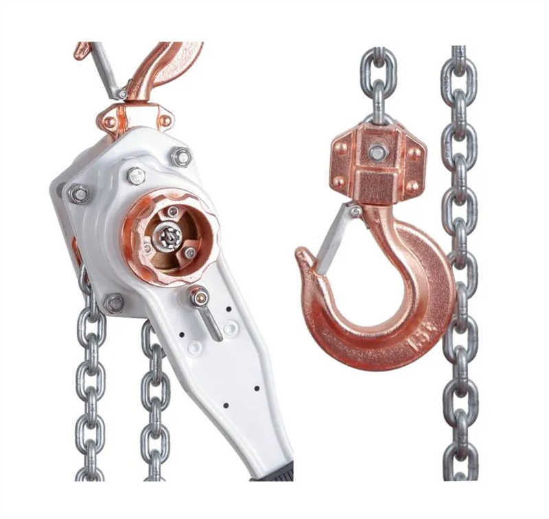 Stainless Steel Hand Pulling Chain Hoist 0.5T-5T Corrosion-Resistant for Marine