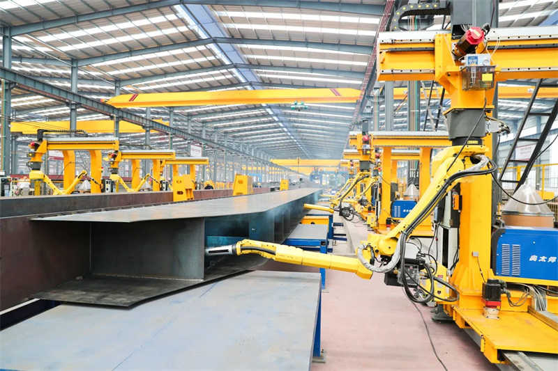 Small Workshop Single Girder Crane (1-5 Ton) - Plug & Play Installation