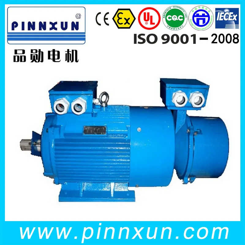 Metallurgical and Crane AC Induction Slip Ring Motor 3000rpm Electric Motor