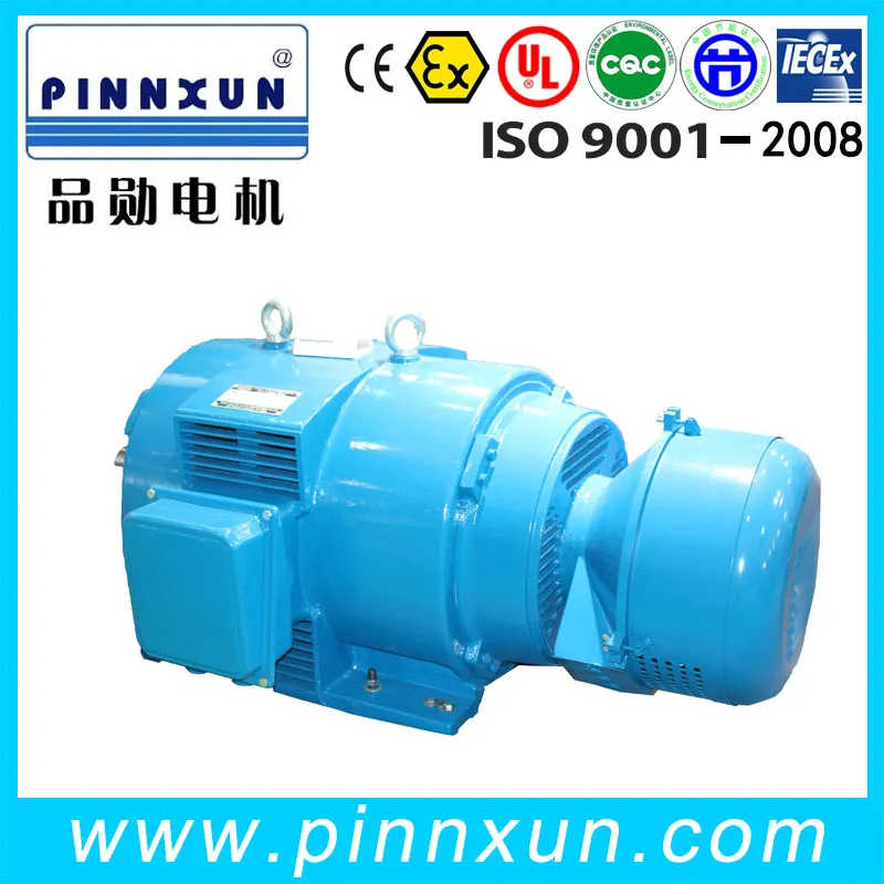 Metallurgical and Crane AC Induction Slip Ring Motor 3000rpm Electric Motor