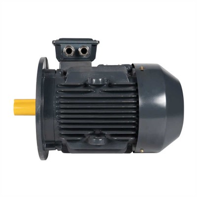 4 Pole Three-Phase Induction Electric AC Motor 250kw 1490rpm 380V IP55