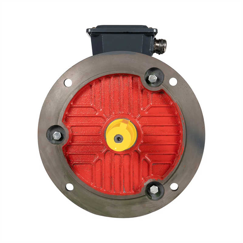 Premium Efficiency Asynchronous Three-Phase Industry Motor 645rpm 0.25kw