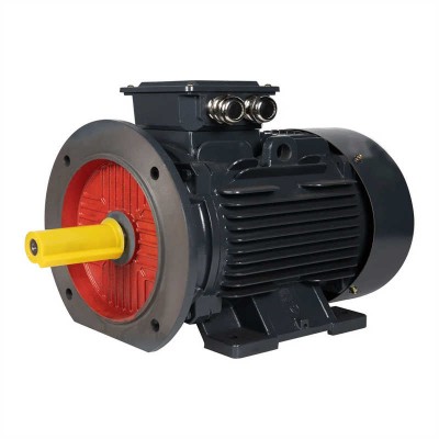 2720rpm Ie3 High Efficiency Three-Phase Asynchronous AC Electric Motor