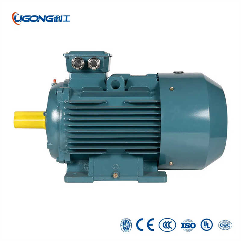 0.37kw 0.5HP 885rpm Three-Phase Asynchronous Induction Electric Motor