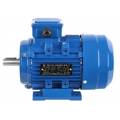 Ms Three-Phase B5 B3 B35 Flange Electrical AC Motor