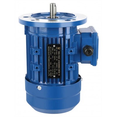 0.37kw Ms Series 0.5HP Copper Wire Aluminum Shell Three-Phase IEC Ie2 Motor