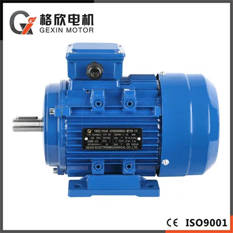 CE Approved Ie2 Efficiency 0.75kw 1500rpm Ms Series AC Electric Motor
