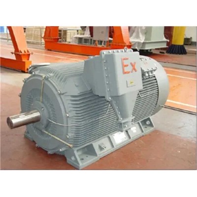 Inverter Type Motor Yx3-315m-6 125HP