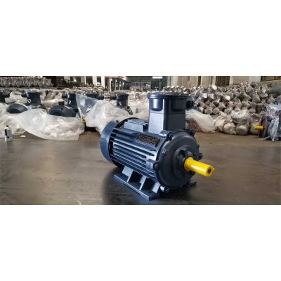 Inverter Type Motor Yx3-315m-6 125HP