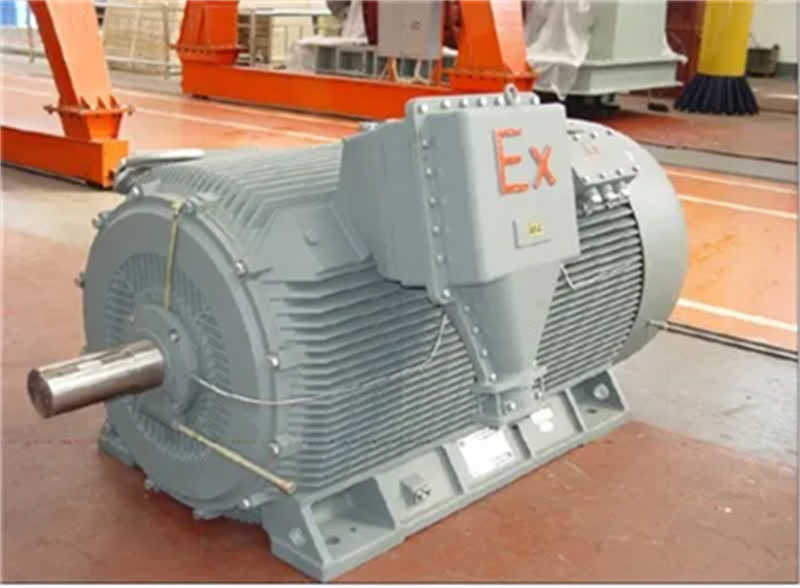 High Voltage 800kw Explosion-Proof Motors