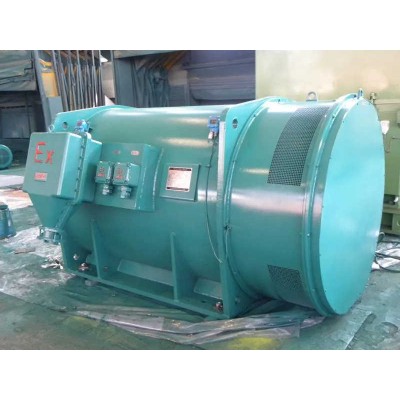NEMA 1500kw Explosion-Proof Motor
