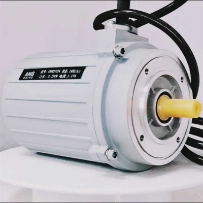High Power Engine Three Phase AC Asynchronous Powerful Electric Motor