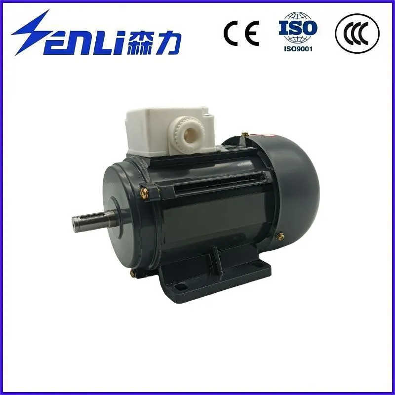 China Factory High Quality Asynchronous Motor for Manufacturing Machinery