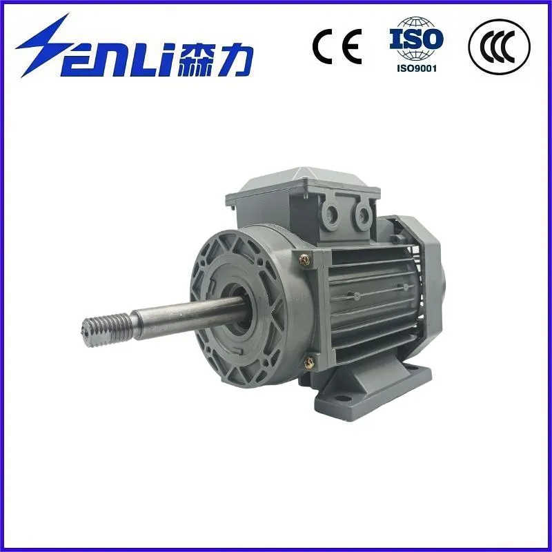 China Factory High Quality Asynchronous Motor for Manufacturing Machinery