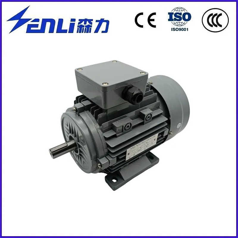 OEM ODM High Quality 3 Phase Electric Motor for Textile Machinery