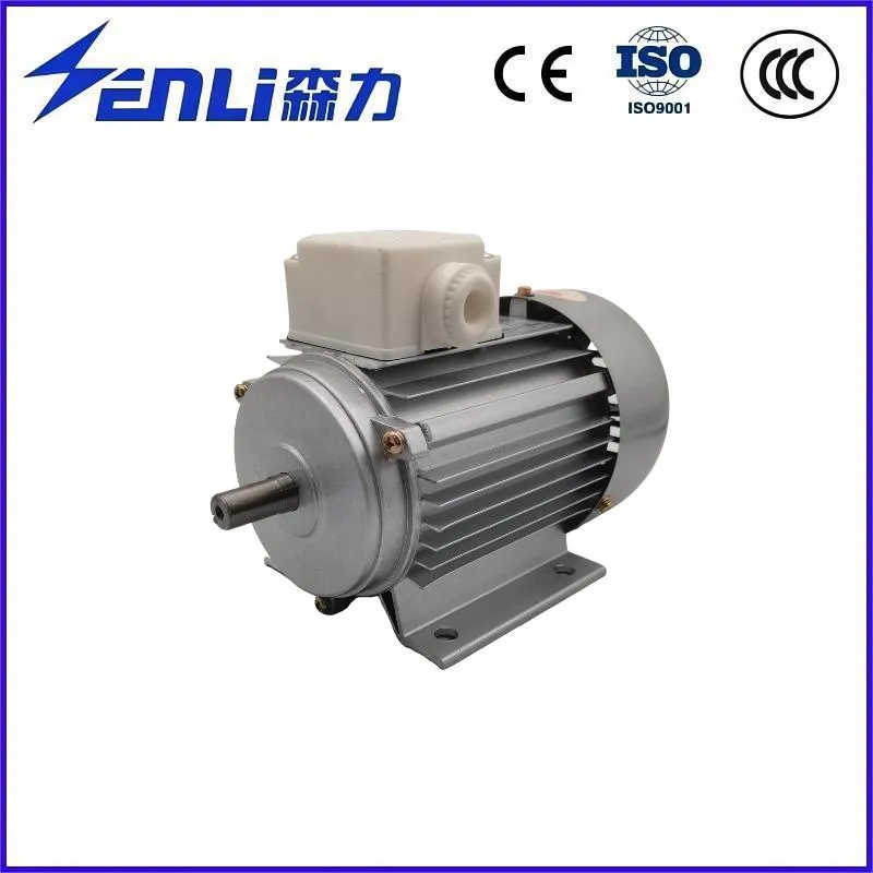 OEM ODM High Quality 3 Phase Electric Motor for Textile Machinery