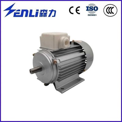 Customized 3 Phase Electric Motor for Manufacturing Machinery with CE