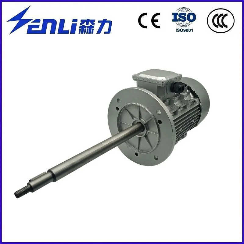 Customized Low Speed High Speed Three Phase Asynchronous Motor with CE