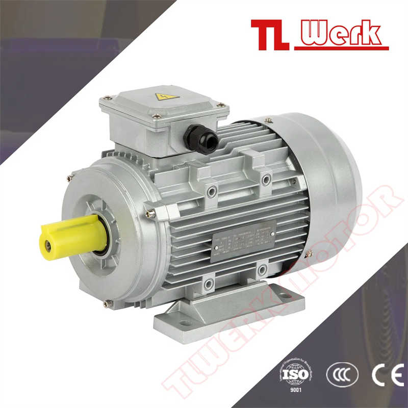 Ys/Ms Ye3 Ye4 B3 1.5kw Aluminum Shell Induction Motor for Hoisting