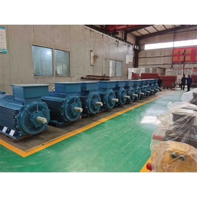 0.25kw~1600kw Three Phase Iecex Atex Explosion Proof Induction Motor Ex
