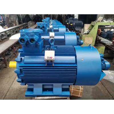 0.25kw~1600kw Three Phase Iecex Atex Explosion Proof Induction Motor Ex