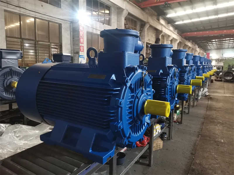 Explosion Proof Three Phase Asynchronous Electric Motor Cnex Atex Certificate